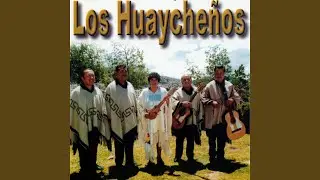 A Mi Huaycho
