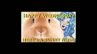 Welcome Back Wednesday