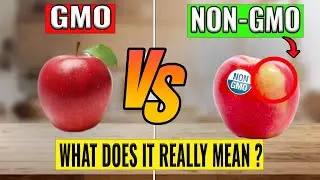 Gmo vs Non-Gmo | What does it really mean?