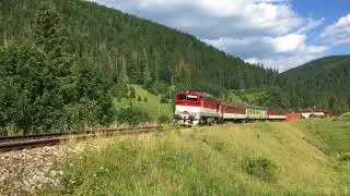 Vlak na stanici Straten&aacute; 754.033-9