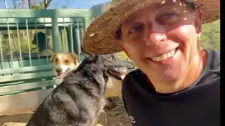 PREGA FOGO MARIDO - COLHENDO ALIMENTO FORTE - RECEITA SIMPLES DOS ANTIGOS