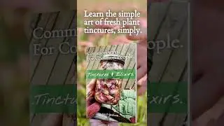 Common Ways, For Common People. See description 💚 #herbalism #herbalist #herb
