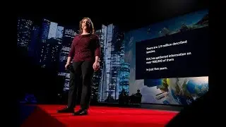 Building the Encyclopedia of Life | Cyndy Parr