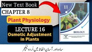 Osmotic Adjustment in Plants | Class 11 Biology Chapter 8 Plant Physiology (2025)
