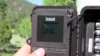 Светодиодная камера Bushnell для трофеев