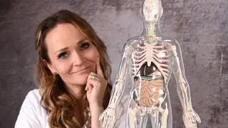 Darmmikrobiom - Ganzheitliche DarmGesundheit - DarmGesunder Lifestyle (Teil 1)