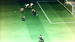 Fifa 14- Lustiges Tor