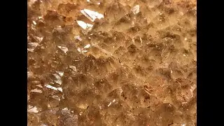 Digging for Missouri Smokey Quartz at Haunted Ridge