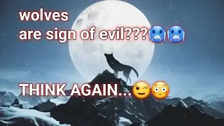 why it is so dangerous? wolves 
