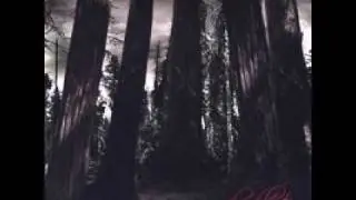 Ikonoklast - Rebirth (Lyrics)