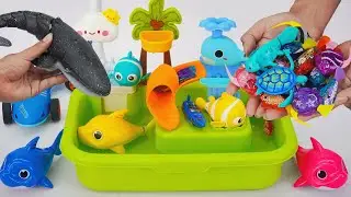 [Toy asmr]RC Killer Whale & Aquarium & Zuru Robo Fish& Harp's Aquarium ASMR Satisfying with Unboxing