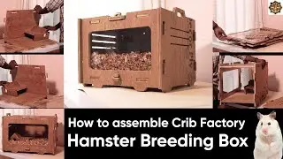 Hamsters Breeding Box Assemble Video DIY | Crib Factory Pets Care