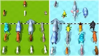 MAX LEVEL in Merge Animals Evolution Games!
