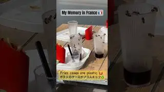 フランスのマクドナルドで見た光景 🐝🇫🇷