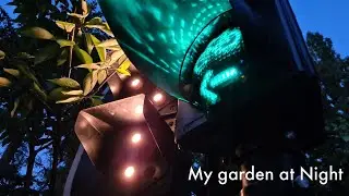 My Garden At Night!