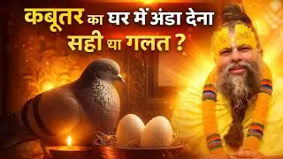 कबूतर का घर में अंडा देना सही है या ग़लत ? | प्रेमानंद जी महाराज | अंदरूनी भक्ति |