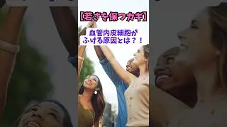 【あなたの習慣が血管を傷つける】内皮細胞が老ける原因とは？