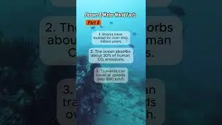 Oceans & Water World 8 #basicknowledge #earth #facts #ocean  #knowledgecheck #knowledgeupdate