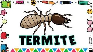 20 Insects for Kids | Easy Learning for Children | Learn Insect Names