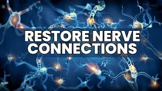 Restore Nerve Connections | Nerve Regeneration Rife Frequency | Nerve Cell Healing | Pain Relief