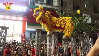m&uacute;a l&acirc;n sư rồng cực hay ở đ&agrave; nẵng