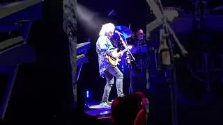 Steve Lukather! The GOAT!! #fender #guitar #electricguitar #ernieball