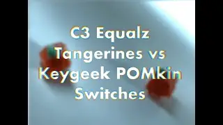 C3 Equalz Tangerine Switches 🍊 vs Keygeek POMkin Switches 🎃 | Keyboard Switch Comparison