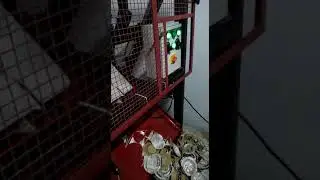 High Speed Dona Making Machine #donamakingmachine #dona #padiyamachine #paperdronmachine 9414388738