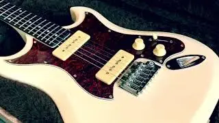Hagstrom F200P