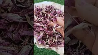 Easy and Fast way to make Hibiscus Powder at home #Homemade Hibiscus Powder #shorts