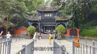 四川青城山，青城天下幽美誉，带大家参观