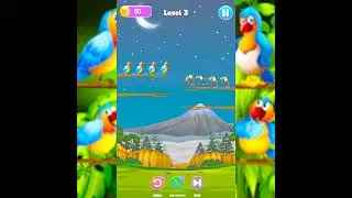 Bird Sort Color Puzzle Game (Square)