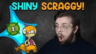 ✨ PKMN Black - Shiny Scraggy | Phase 2 @ 16,054 Encounters ✨