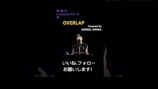 【遊⭐︎戯⭐︎王デュエルモンスターズ OP】 Kimeru - OVERLAP【Covered by ANIMAL MANIA】