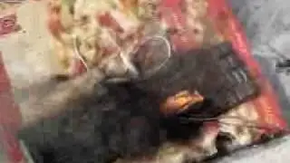 old electronic circuit board burning destruction