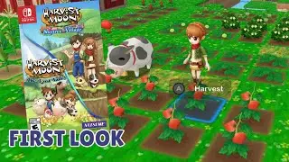 Breaking Preorder News About Harvest Moon TLV and SV Switch Port