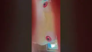 nos quedo fatal 😂