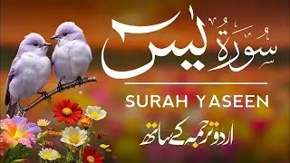 Surah Yaseen With Urdu Translation By Qari Mansoor Ghaznawi, Quran With Urdu & Hindi Tarjuma | Ep088