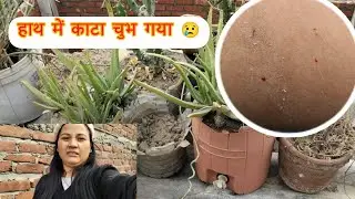 आज का दिन भारी पड़ गया 😔 | सच्ची दिनचर्या #dailyvlog #reetakafunnycorner 