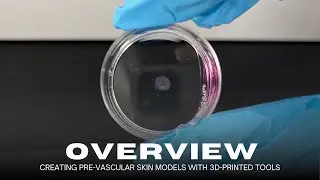 Project Overview : How to Create Pre-Vascular Skin Models with 3D-Printed Tools 