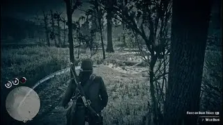Red Dead Redemption 2 legendary  boar