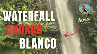 Waterfall Chorro Blanco, Jardin - Andes - English
