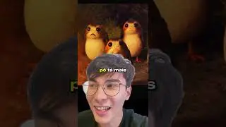Voc&ecirc; lembra dos Porgs, aqueles bichinhos fofinhos de Star Wars? Ent&atilde;o...