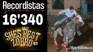 Miguel Dias Neto x ⚜️She's Best Zorro RCH🦊 Recordista Jovem e  Campeão JOVEM C 16'340
