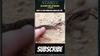 Snakes laugh too #animals #funny