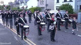 Ballyvea F.B. @ Star Of Down F.B.'s Parade ~ 23/08/24 (4K)