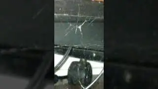 Spider DESTROYS pantry moth with WEBS and CHELICERAE