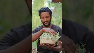 How to Grow Microgreens Very Easy🌱🔥