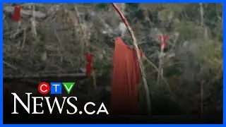 New documentary on Fairy Creek protest airing in Edmonton