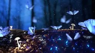 Relaxing magic,Meditation music